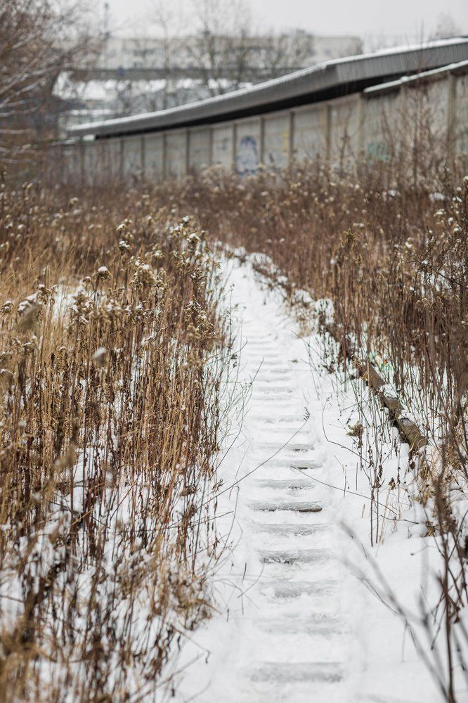 Photograph by Серова Мария