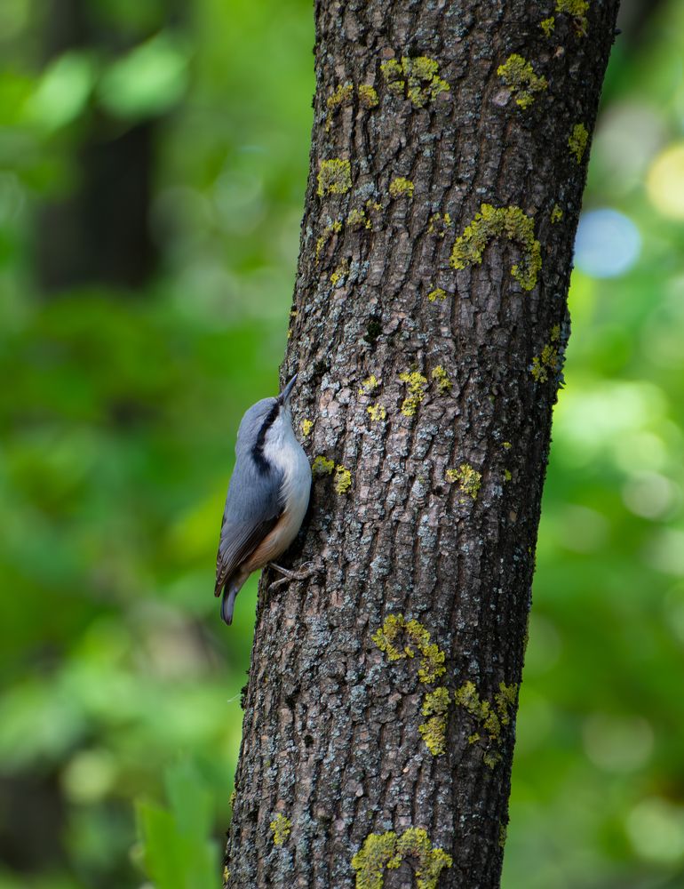 Photograph by Кристина Дегтярёва