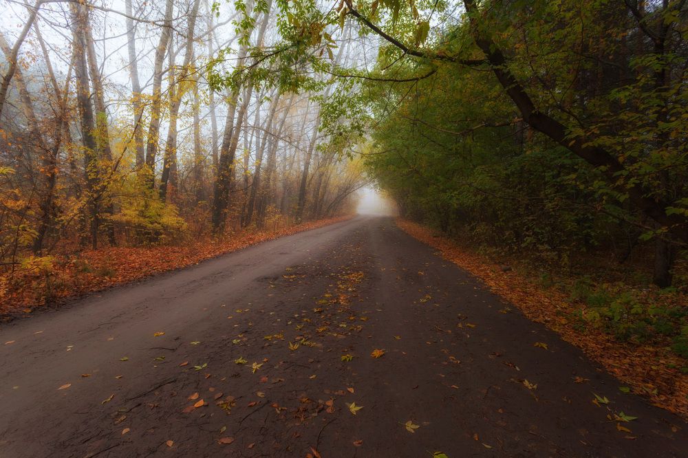 Photograph by Сергей