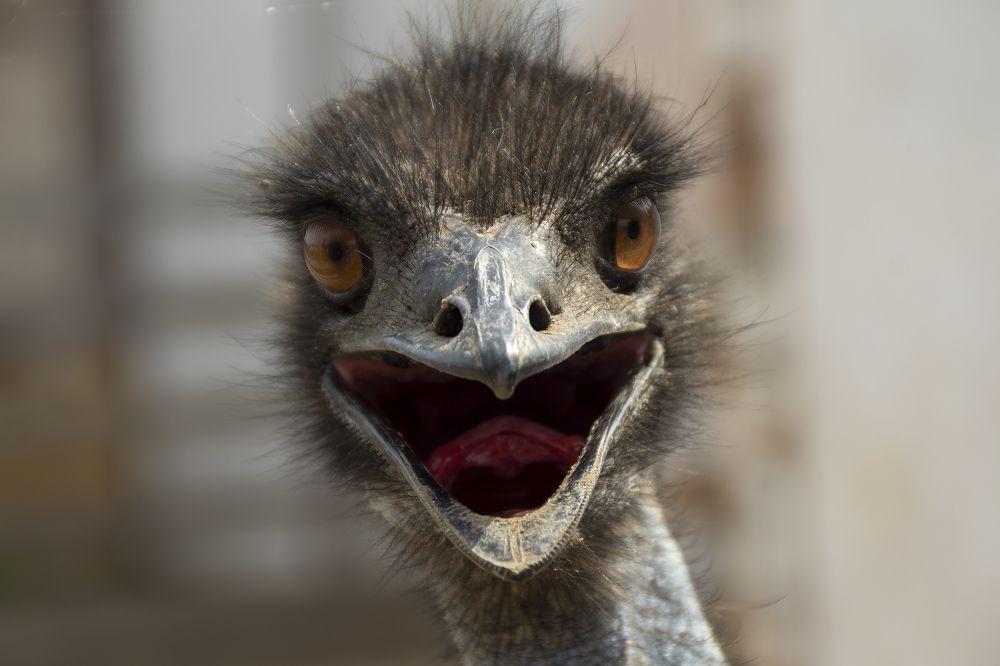 Photograph by Коржова Наталья