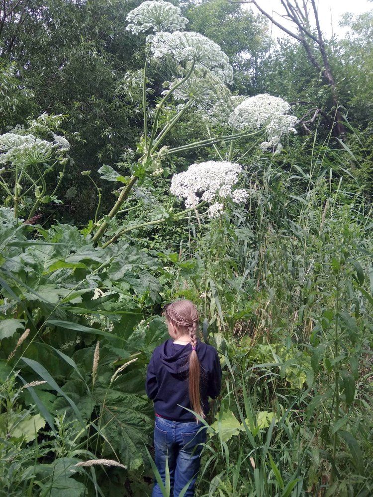 Photograph by Татьяна Смирнова