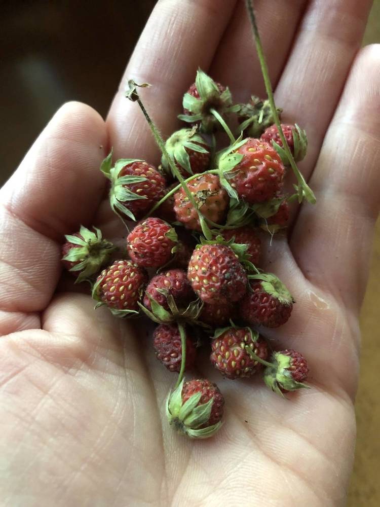 Photograph by Римма Большакова