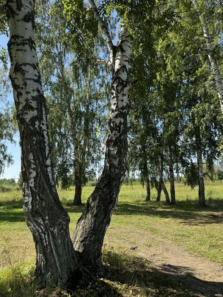 Photograph by Римма Большакова