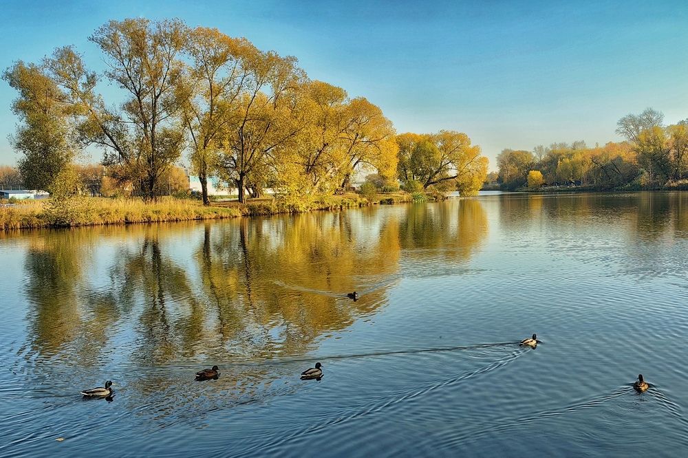 Photograph by Елена Алексеева