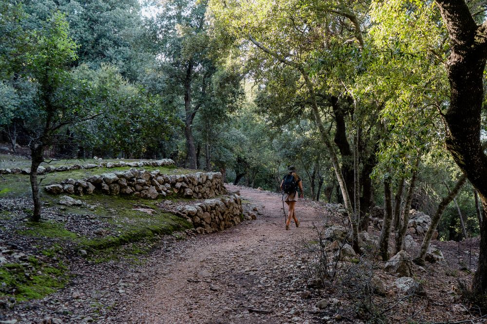 Photograph by Cristian Alexander Arredondo Murillo