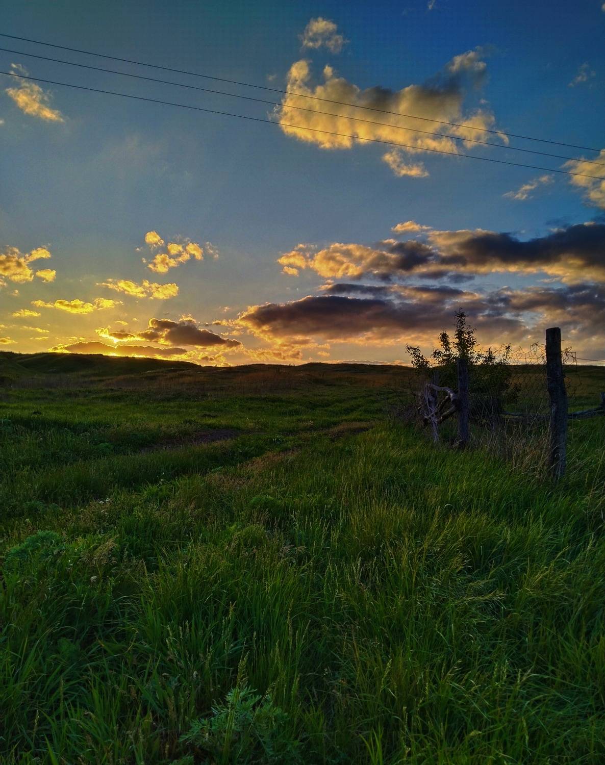Photo #11214256