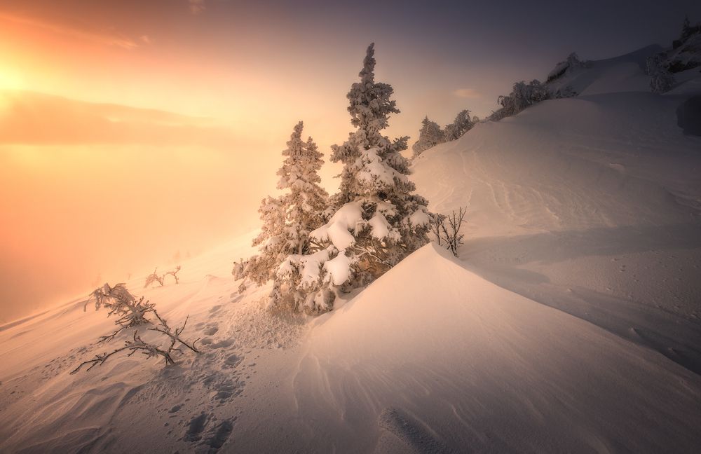 Photograph by Татьяна Бирюкова