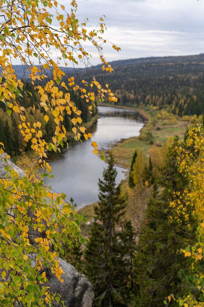Фотография автора Татьяна Перминова