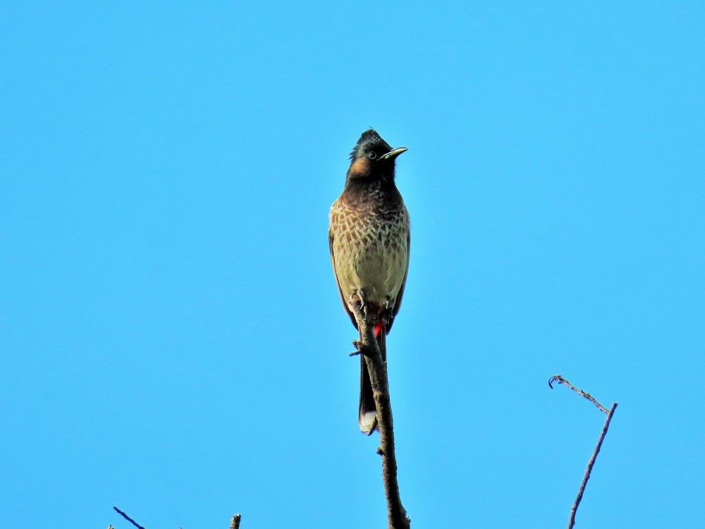 Photograph by Светлана Башаева
