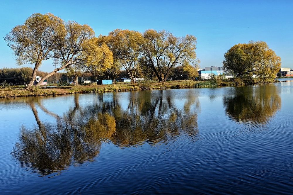 Photograph by Елена Алексеева