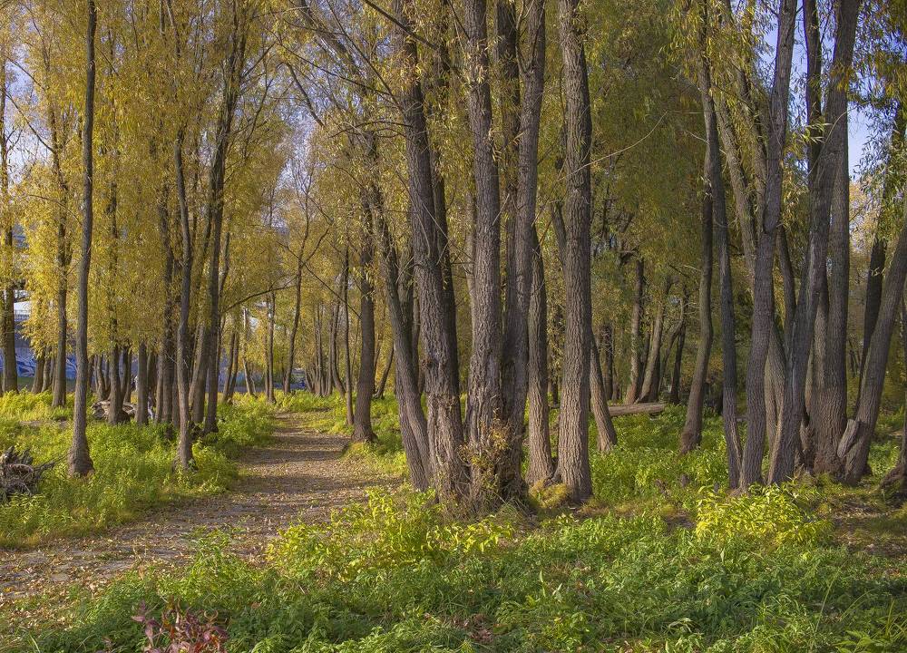 Photograph by Михаил Измайлов