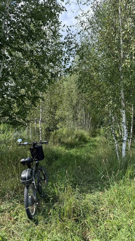 Photograph by Римма Большакова