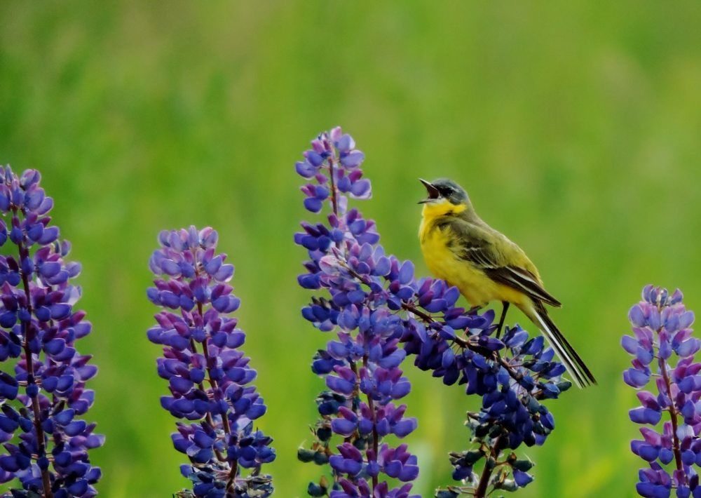 Photograph by Павел Васильев