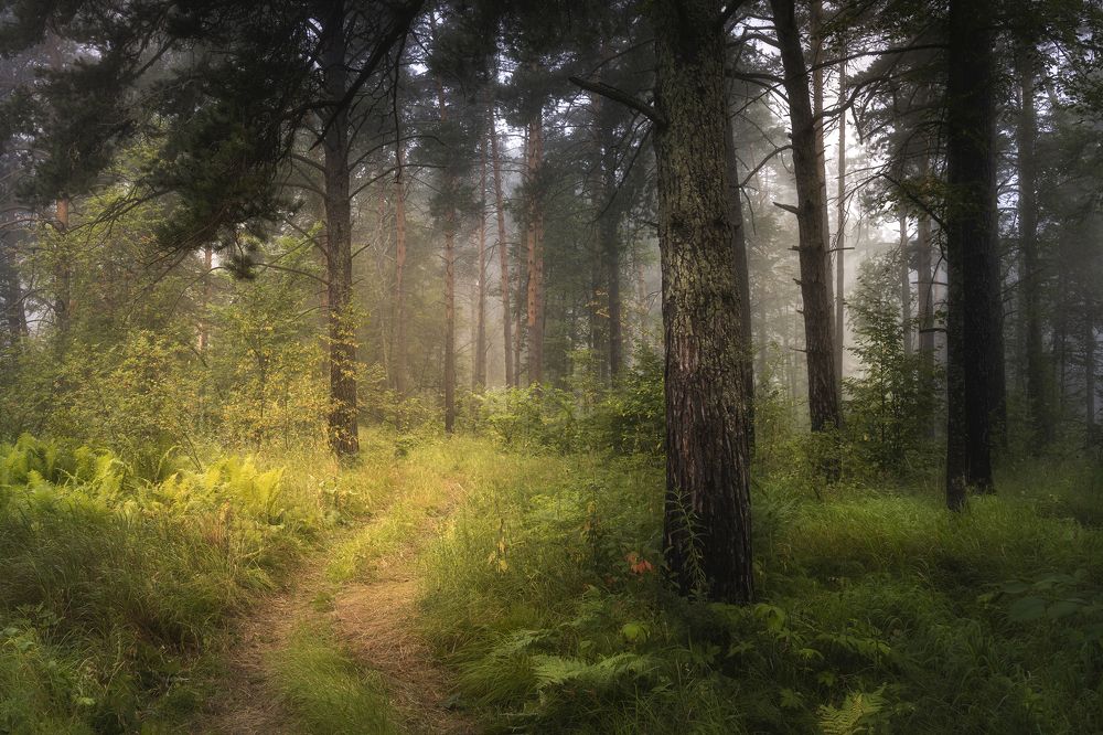 Photograph by Татьяна Бирюкова