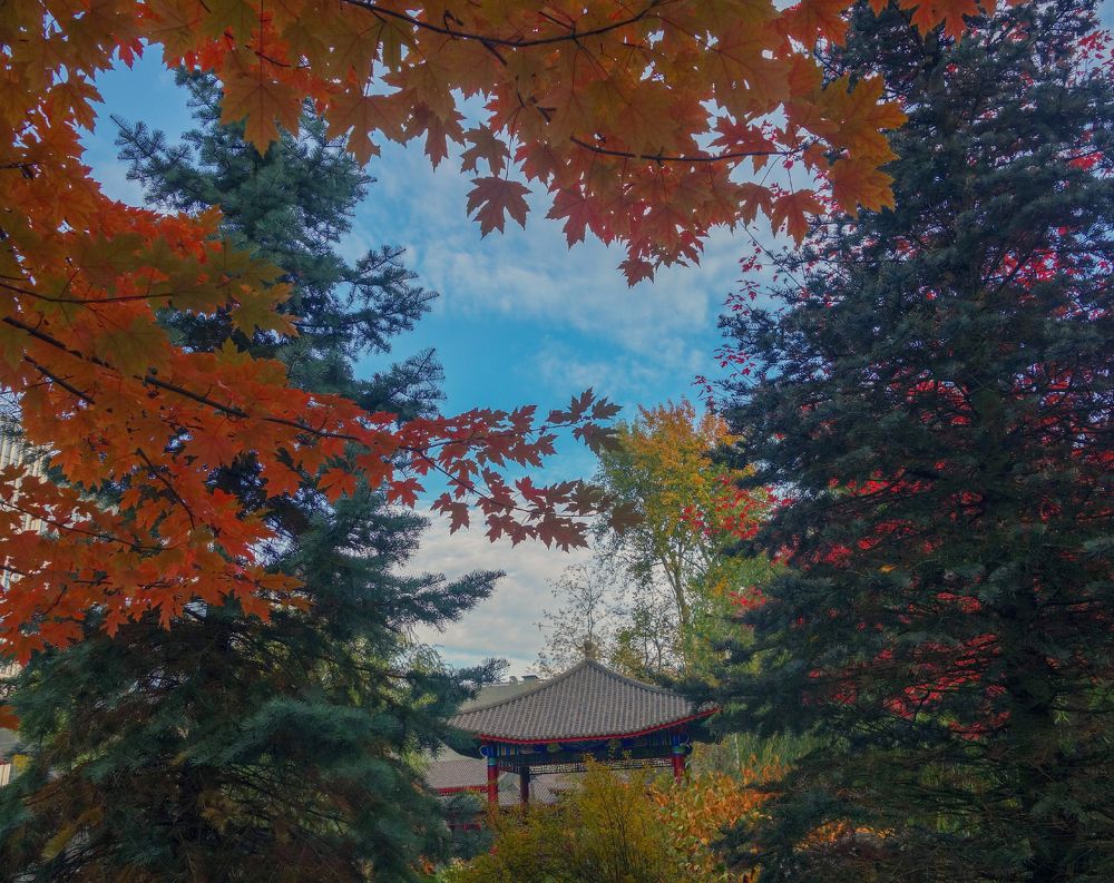 Photograph by IRINA KORNEVA