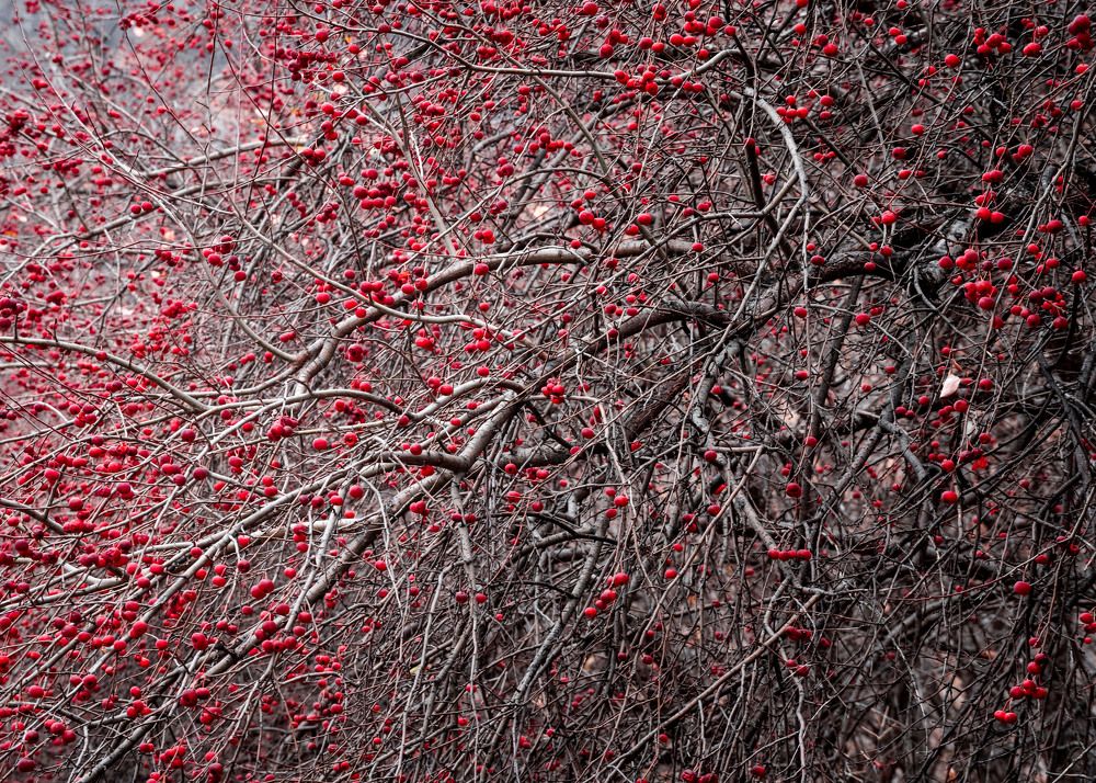 Photograph by Евгений Важенин