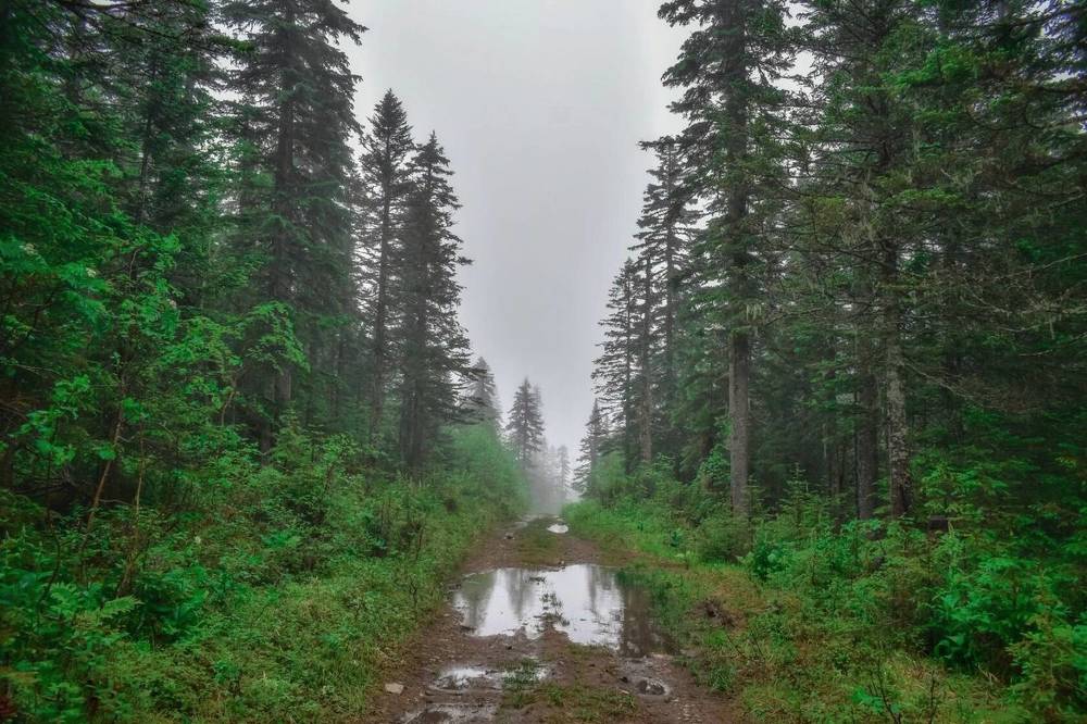 Photograph by Irina Luidinshina