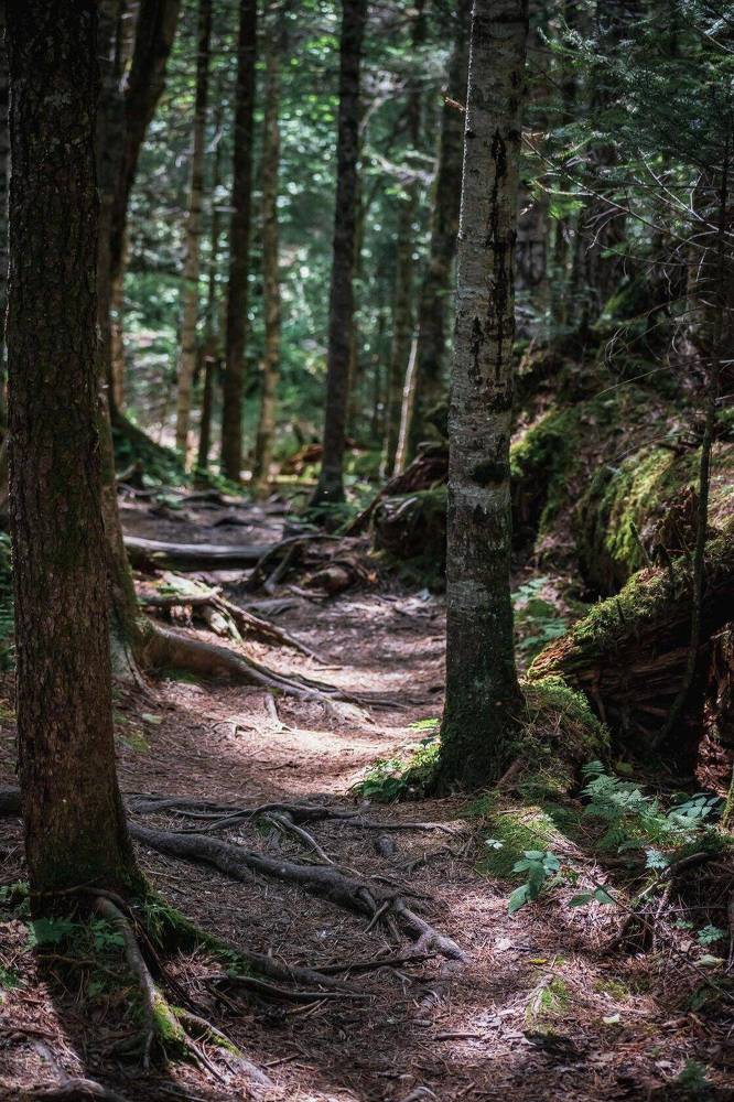 Photograph by Irina Luidinshina