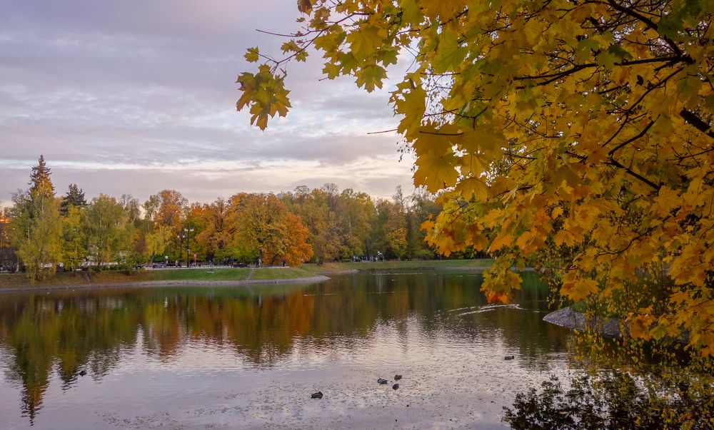 Photograph by IRINA KORNEVA