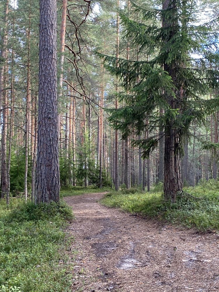 Photograph by Светлана Вайгум