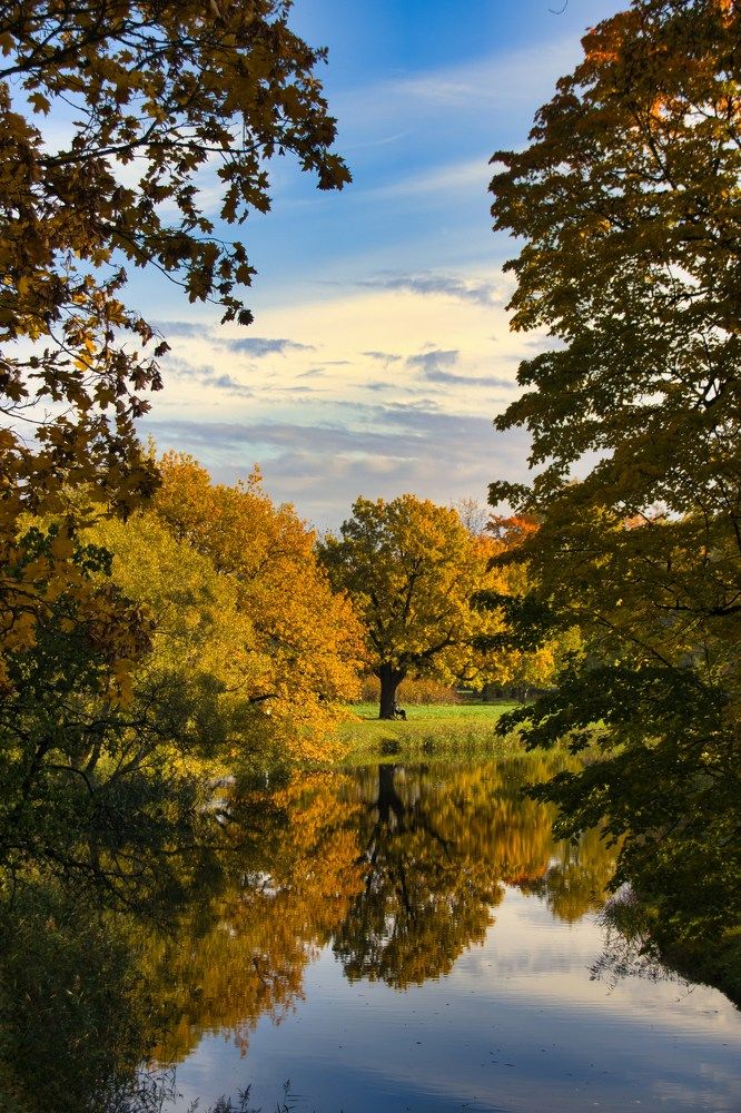 Фотография автора Georgii Eletskikh