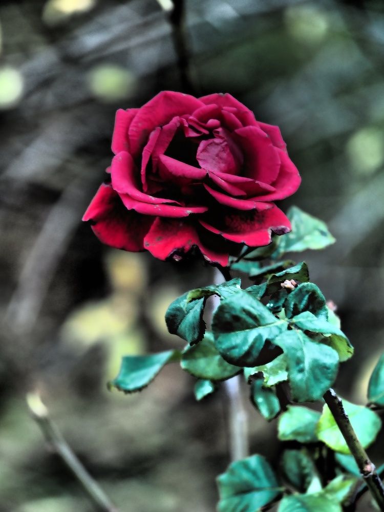 Photograph by Сергей Борисов