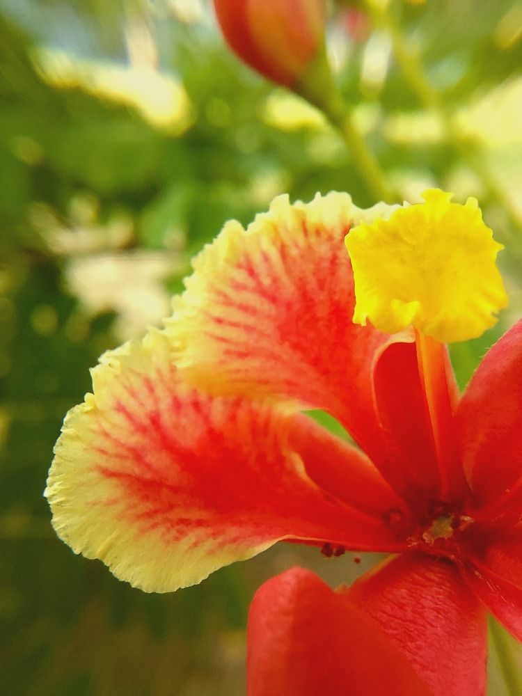 Photograph by CRINALDO REIS