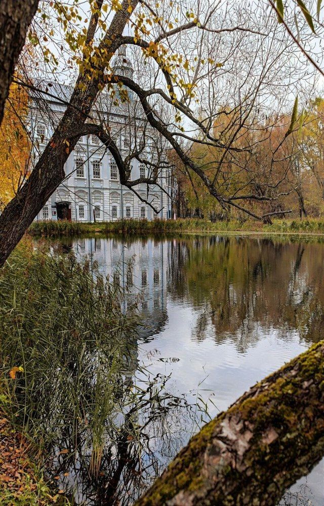 Photograph by Елена