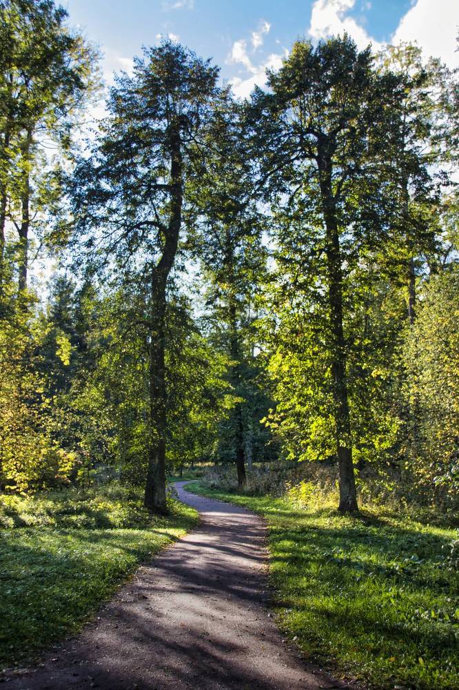 Фотография автора Georgii Eletskikh