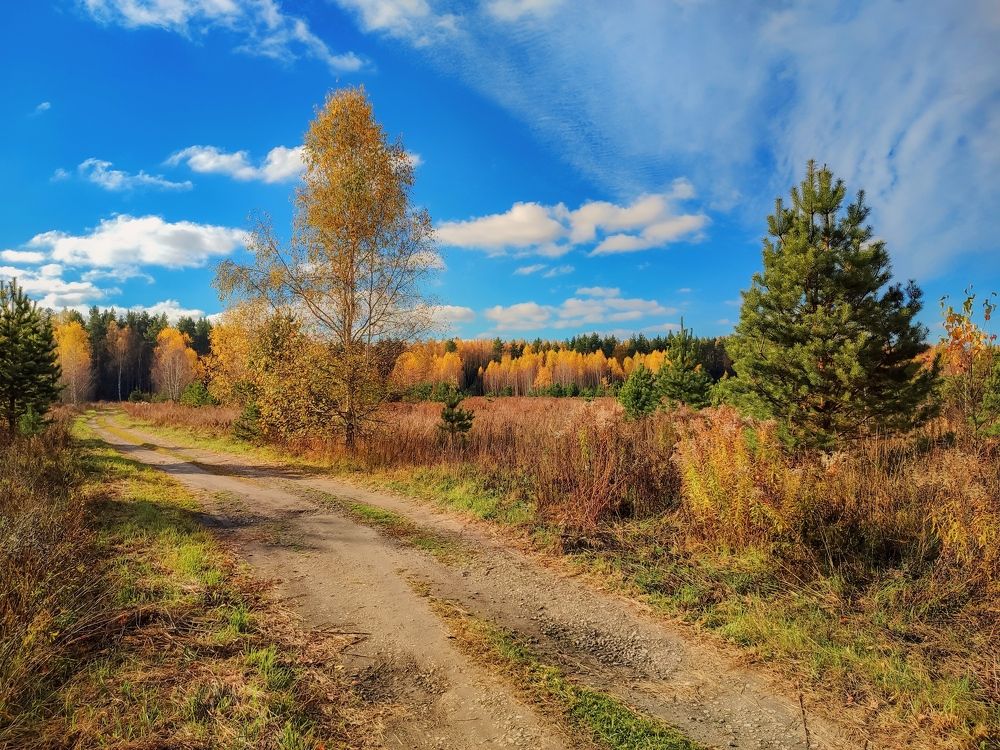 Photograph by Алёна Пшеленская