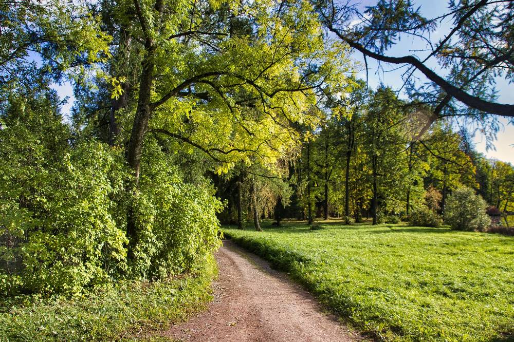 Фотография автора Georgii Eletskikh