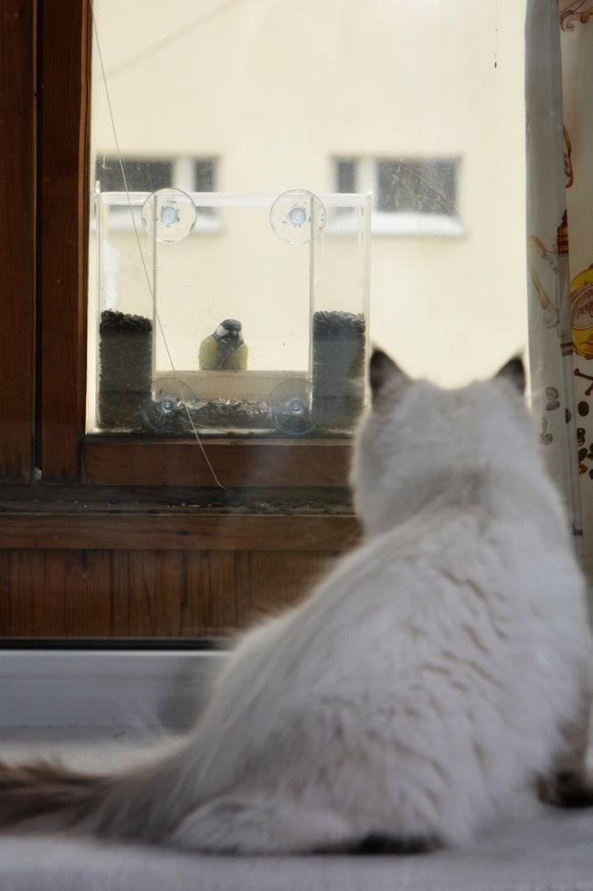 Photograph by Римма Большакова