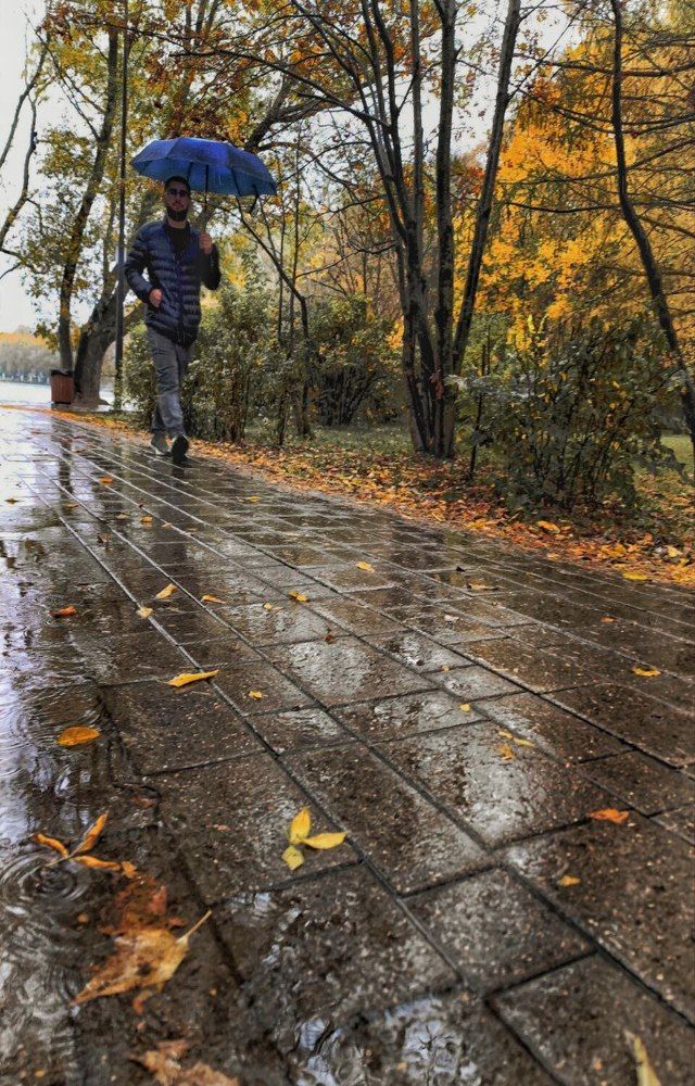 Photograph by Елена