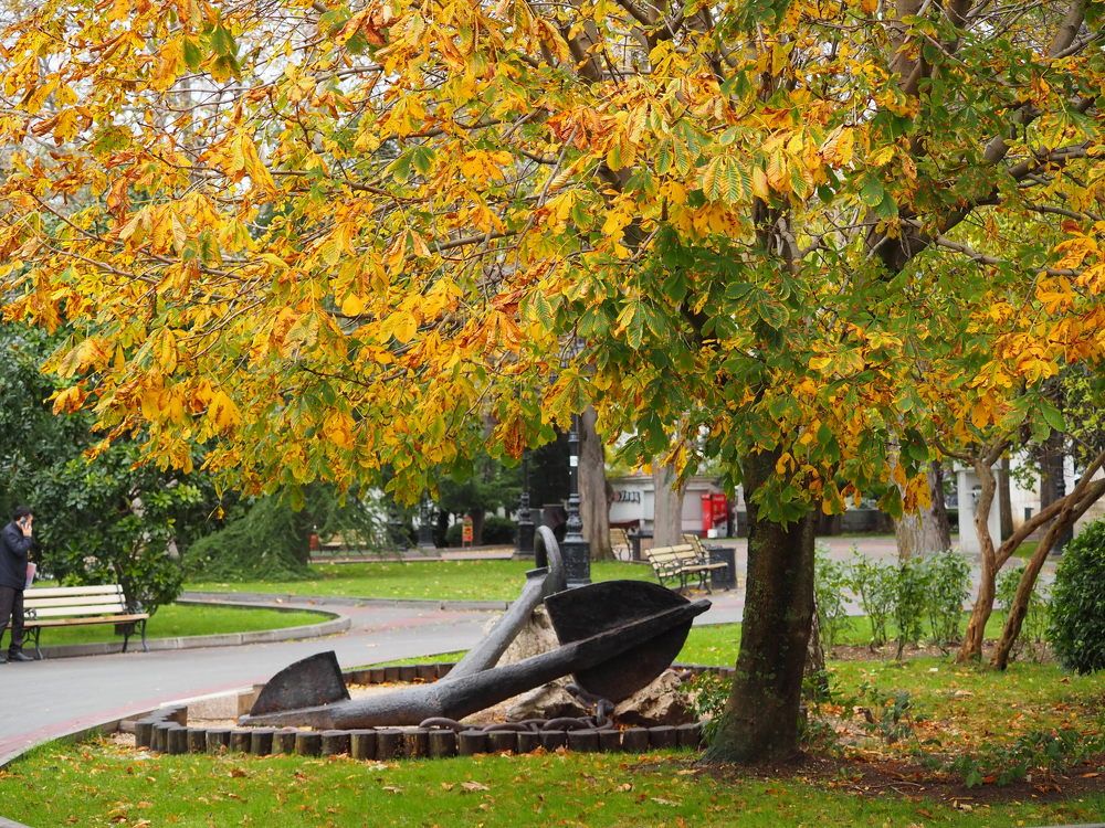 Photograph by Сергей Борисов