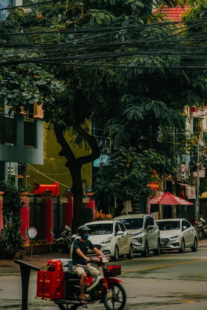 Фотография автора Алиса Исаева