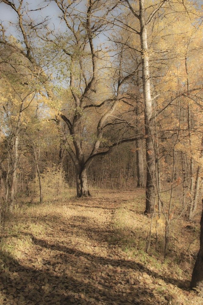 Photograph by Людмила Ваганова