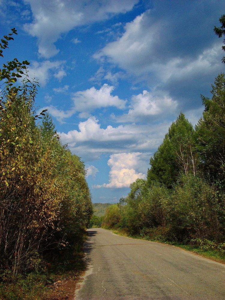 Фотография автора АЛЕКСАНДР ЦЫГЕЛЬНЮК