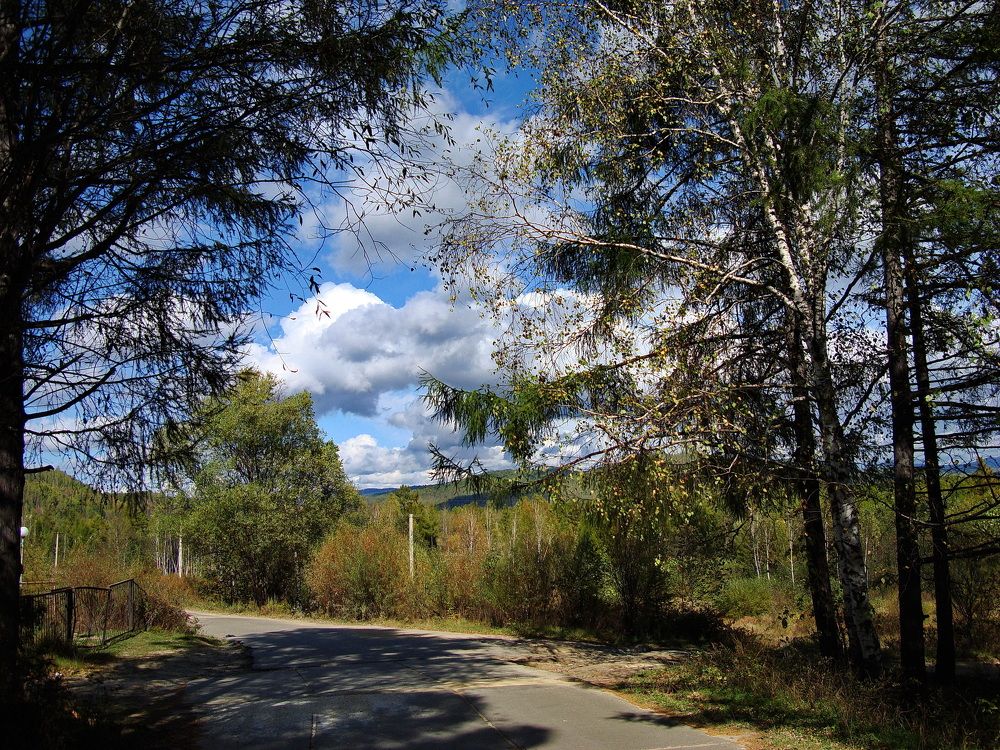 Фотография автора АЛЕКСАНДР ЦЫГЕЛЬНЮК