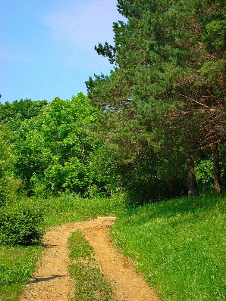 Фотография автора АЛЕКСАНДР ЦЫГЕЛЬНЮК