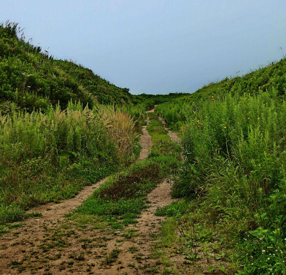 Фотография автора АЛЕКСАНДР ЦЫГЕЛЬНЮК