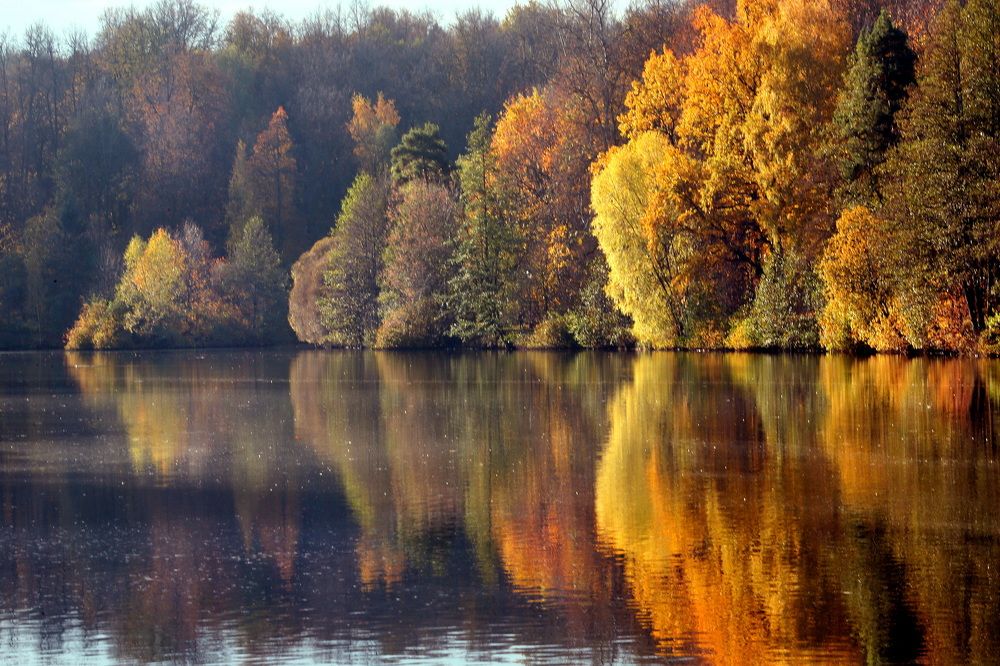 Photograph by Бибичков Михаил