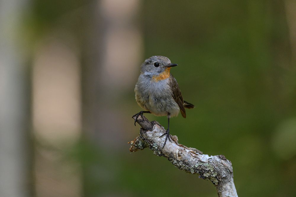 Photograph by Дмитрий Бухтик