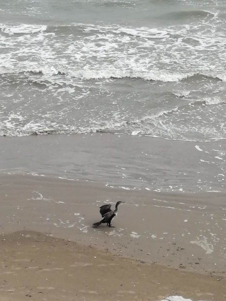 Photograph by Татьяна Ненюхина