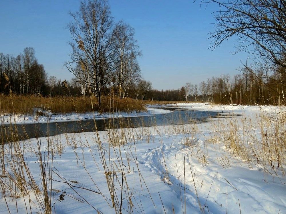 Photograph by Валерия Яскович