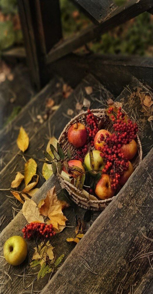 Photograph by Елена