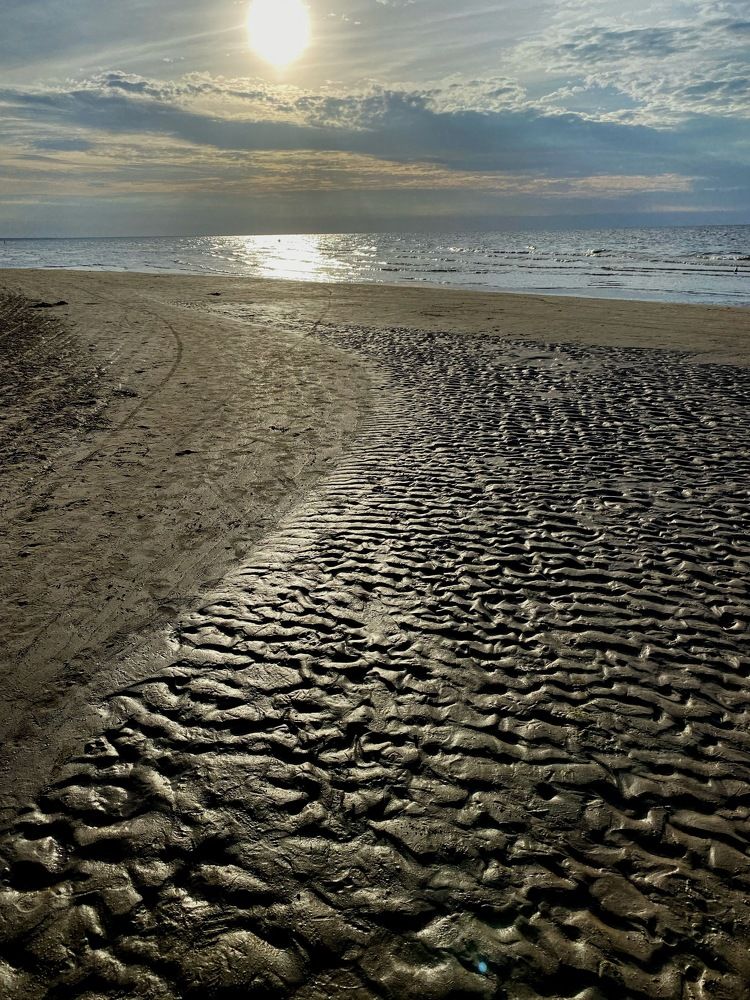 Photograph by Лидия Горностаева