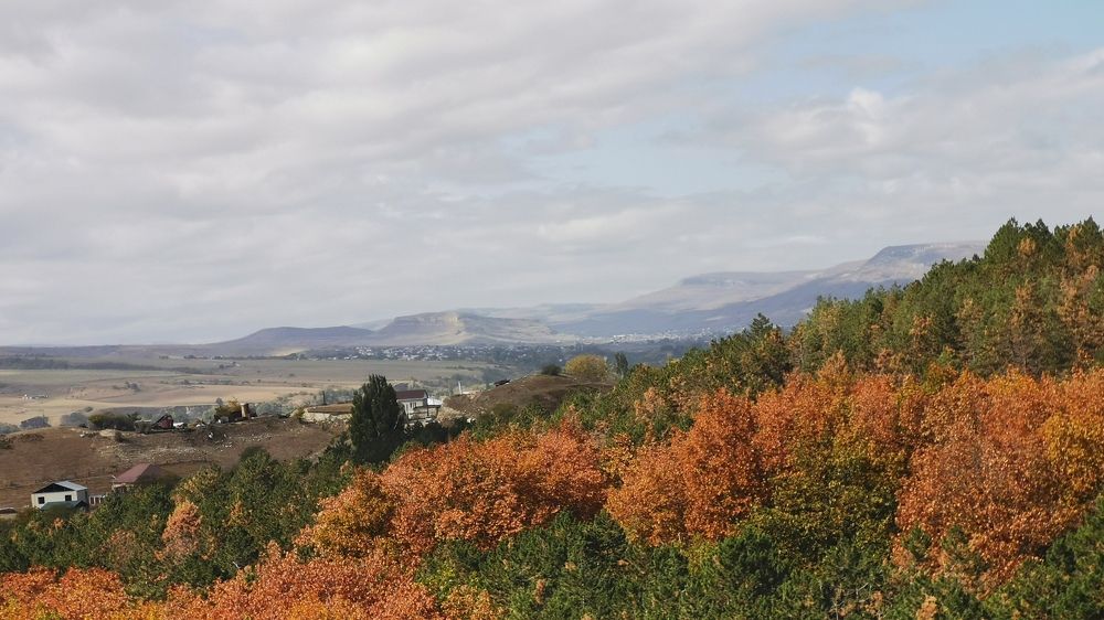 Photograph by Наталья Миронова