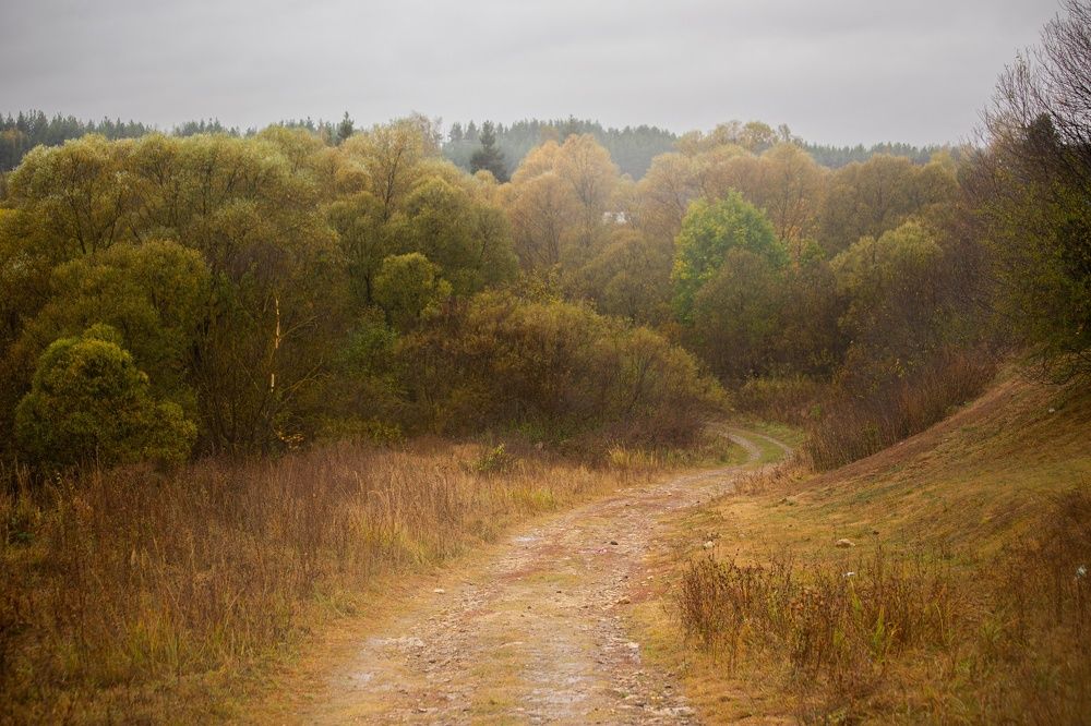 Photograph by Фомочкин Алексей