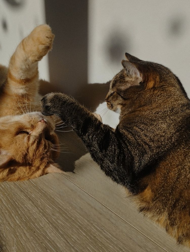 Photograph by Ия Дирко