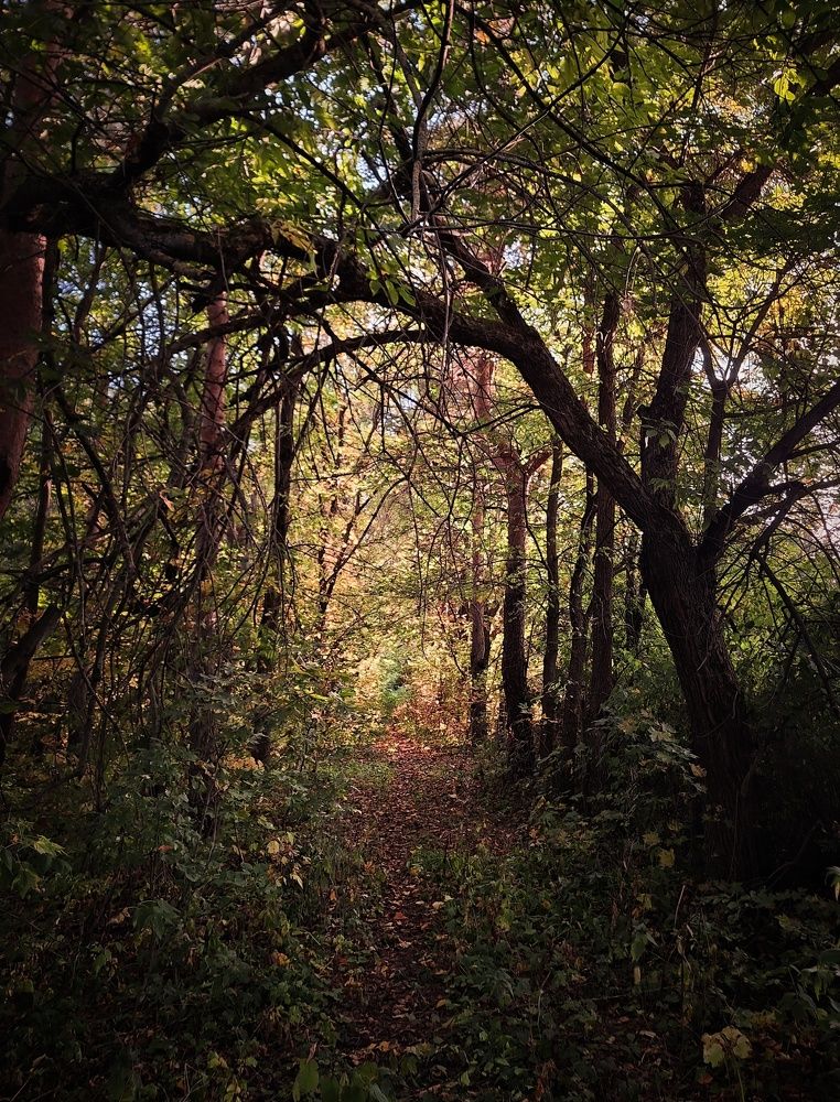 Photograph by Фомочкин Алексей